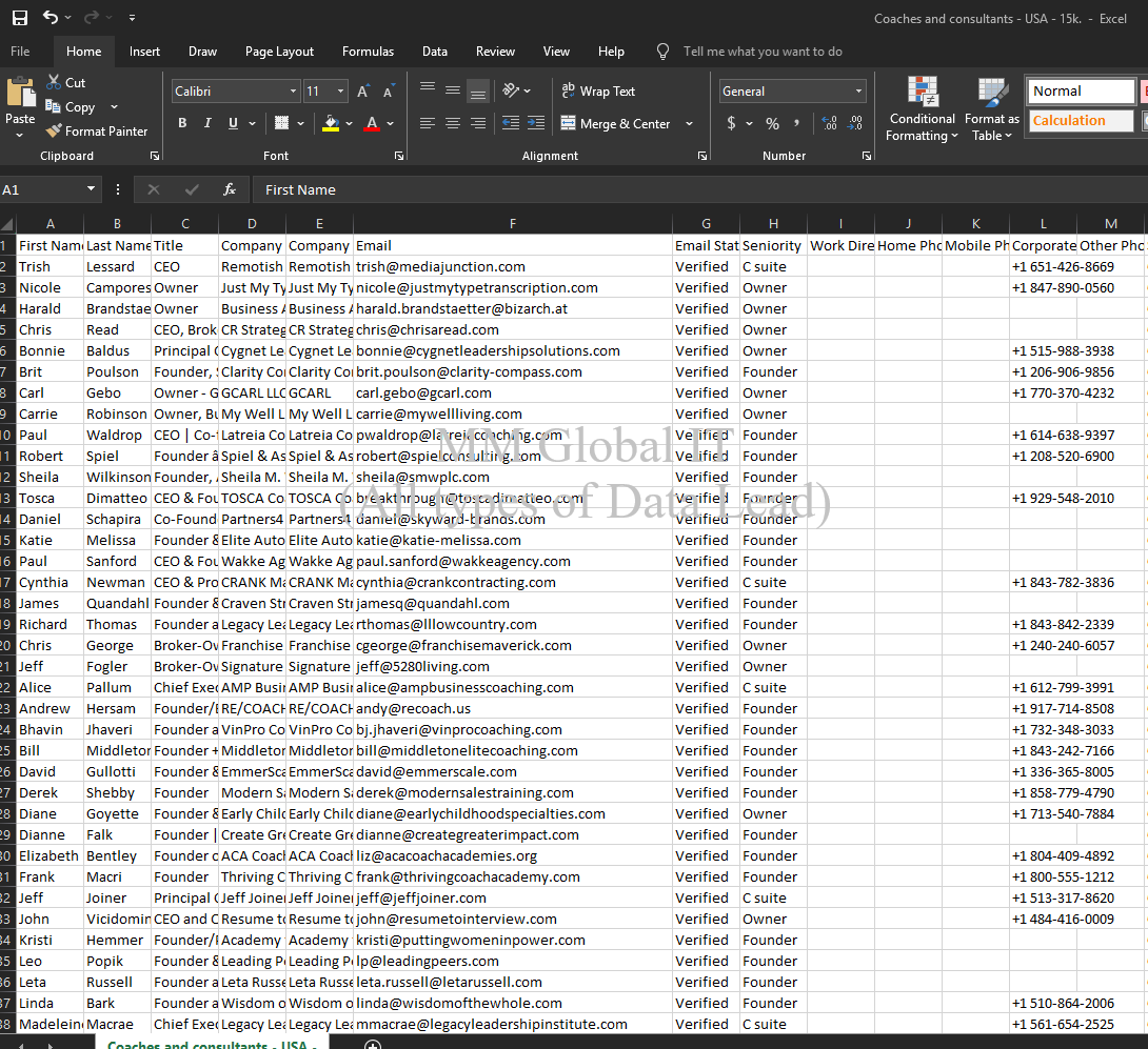 USA_data_for_lead your business need usa real with us