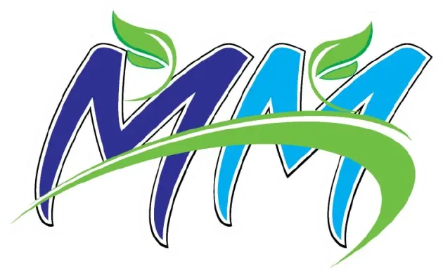 MM Global IT